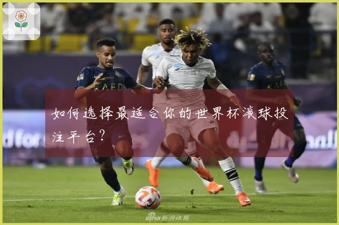 如何选择最适合你的世界杯滚球投注平台？