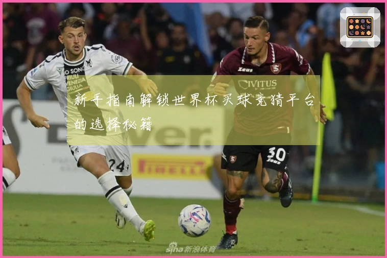 新手指南解锁世界杯买球竞猜平台的选择秘籍