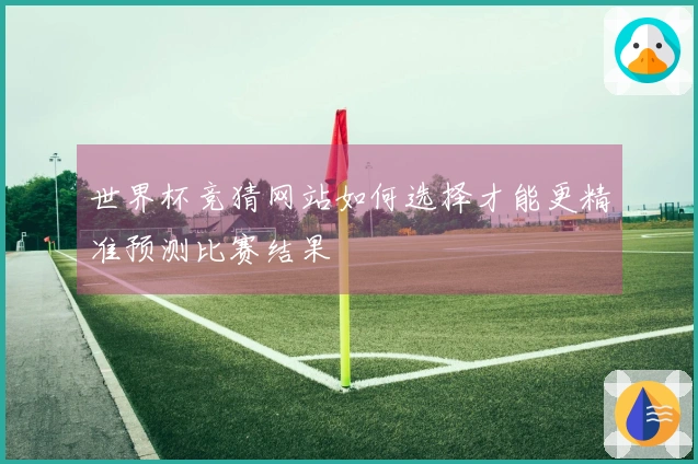 世界杯竞猜网站如何选择才能更精准预测比赛结果