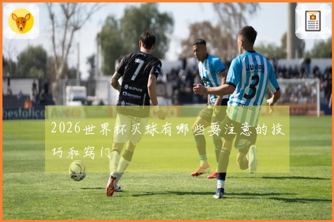 2026世界杯买球有哪些要注意的技巧和窍门