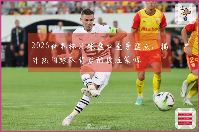 2026世界杯让球盘口全景盘点，揭开热门球队背后的投注策略